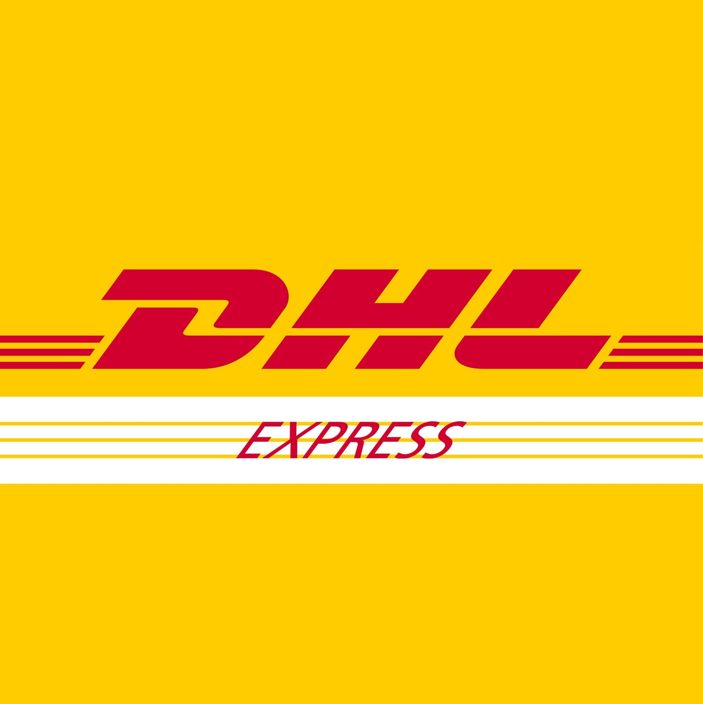 SMALL package DHL guaranteed 2-5 business days shipping upgrade