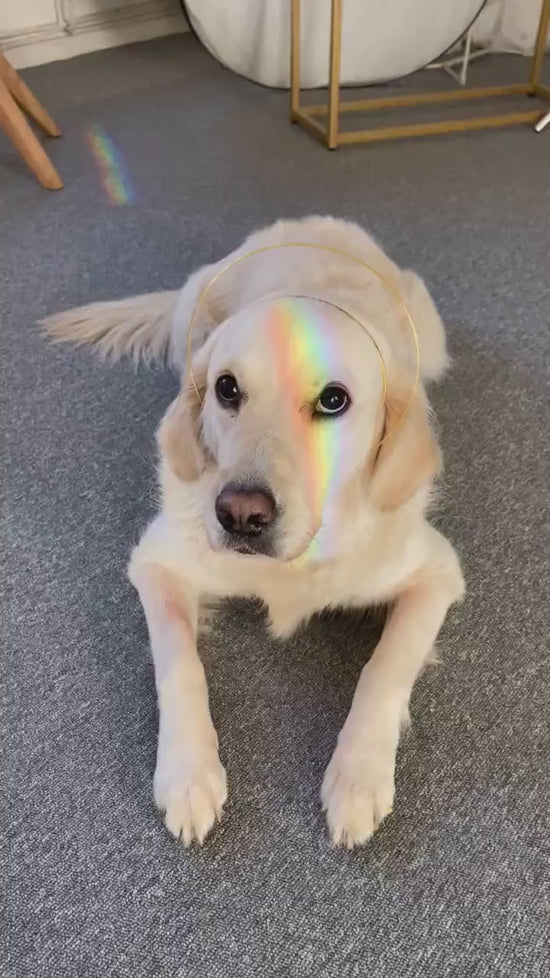 Gold halo crown, Bridal headpiece, Wedding crown, Fairy crown, Halloween, Bridal crown, Halo crown, Gold crown, Wedding hair accessories